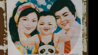 Did China's one-child policy actually reduce population growth?